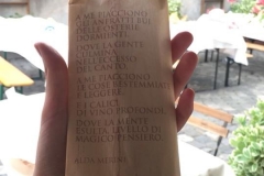 festa 5
