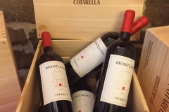 vino2